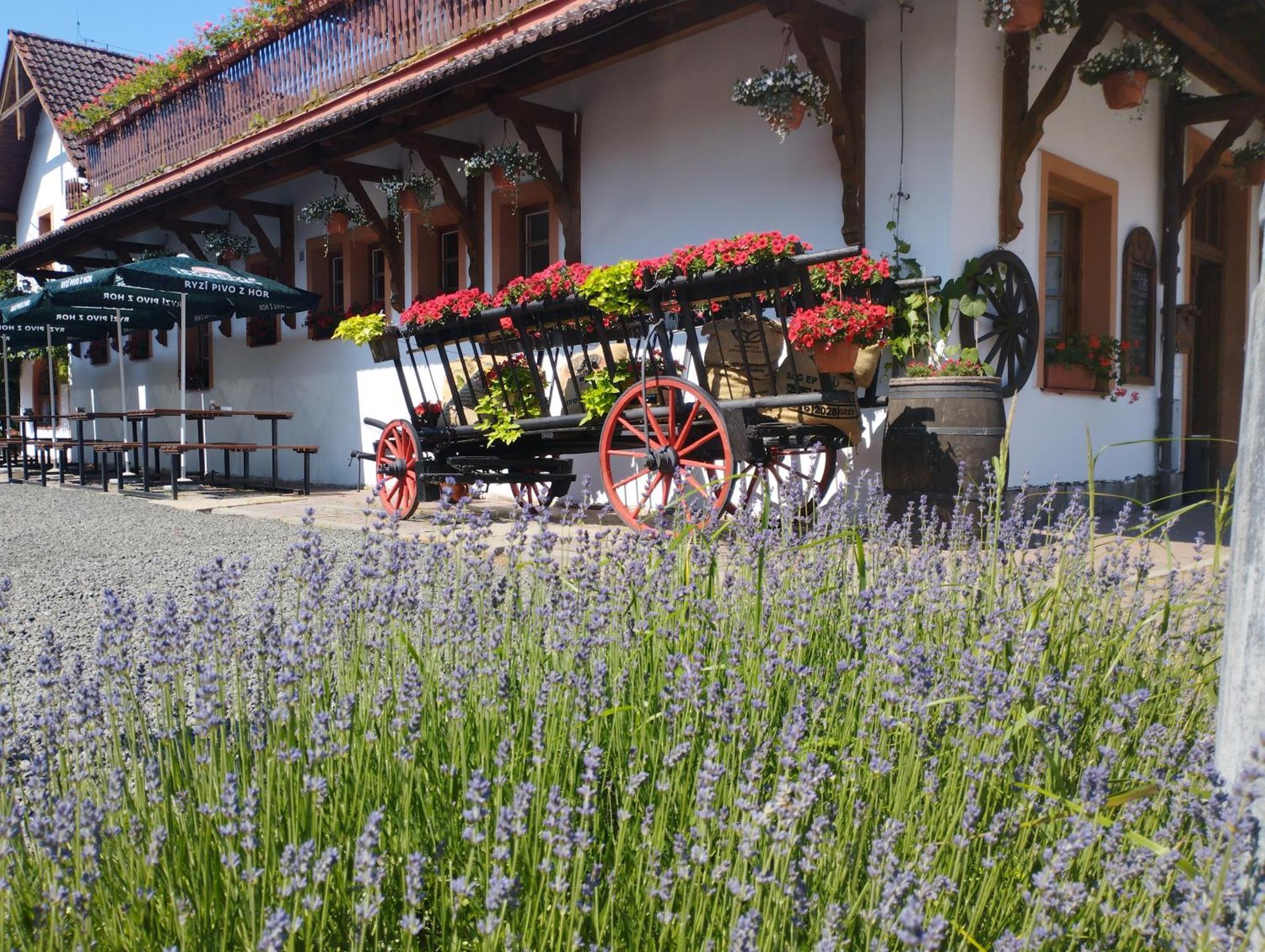 Penzion Restaurace U Helferu Libuň Exteriör bild